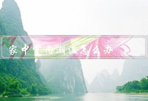 家中室内潮湿怎么办