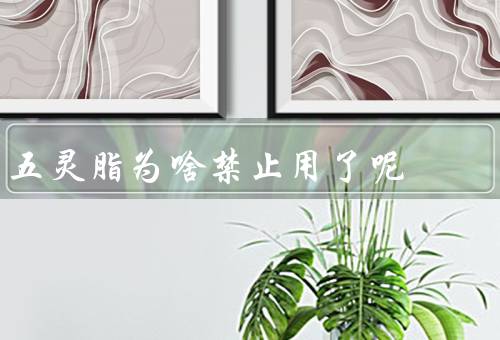 五灵脂为啥禁止用了呢