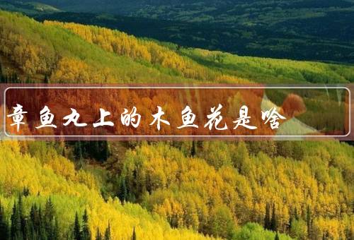 章鱼丸上的木鱼花是啥