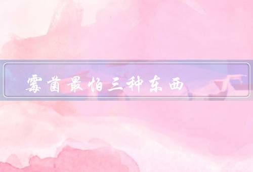 霉菌最怕三种东西