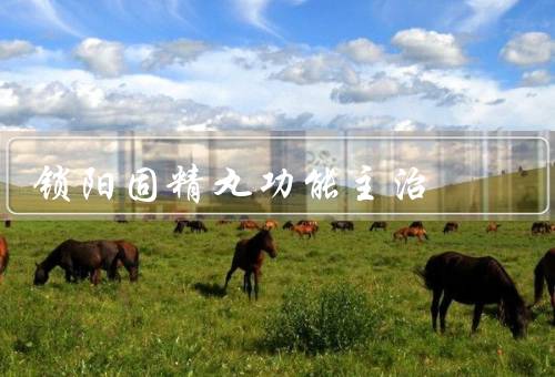 锁阳固精丸功能主治
