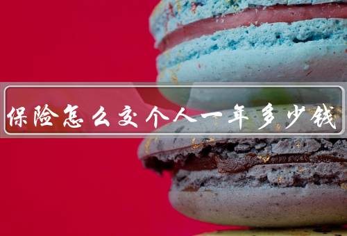 养老保险怎么交个人一年多少钱