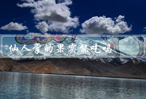 仙人掌的果实能吃吗