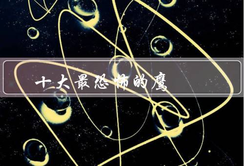 十大最恐怖的鹰