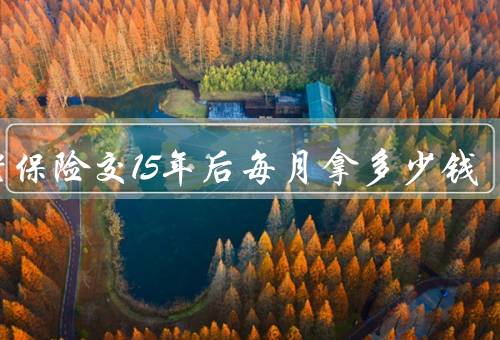 养老保险交15年后每月拿多少钱