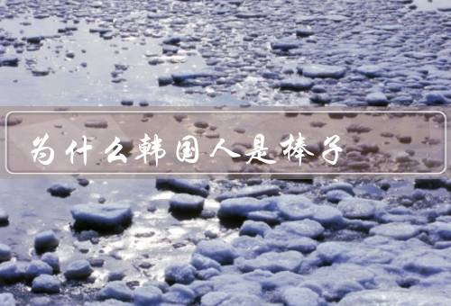 为什么韩国人是棒子