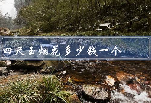 四尺玉烟花多少钱一个
