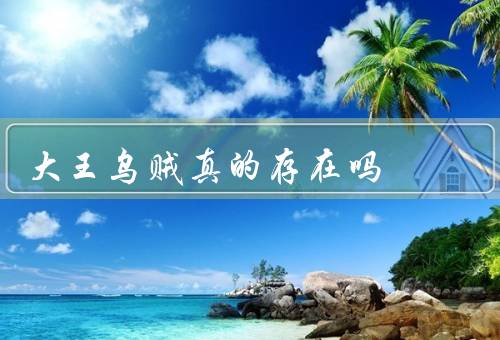 大王乌贼真的存在吗