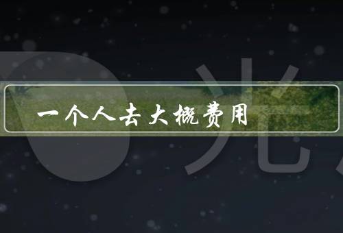 一个人去大概费用