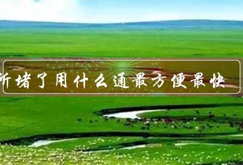 厕所堵了用什么通最方便最快