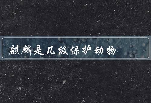 麒麟是几级保护动物