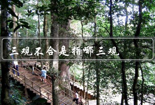 三观不合是指哪三观