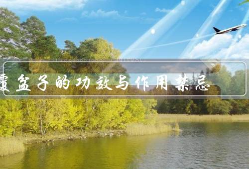 覆盆子的功效与作用禁忌