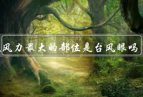 台风风力最大的部位是台风眼吗