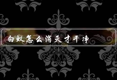 白蚁怎么消灭才干净