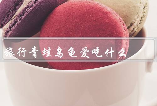 旅行青蛙乌龟爱吃什么