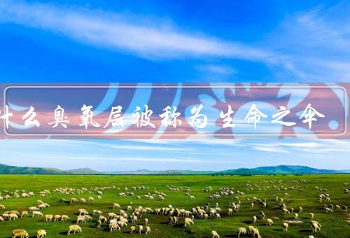 为什么臭氧层被称为生命之伞
