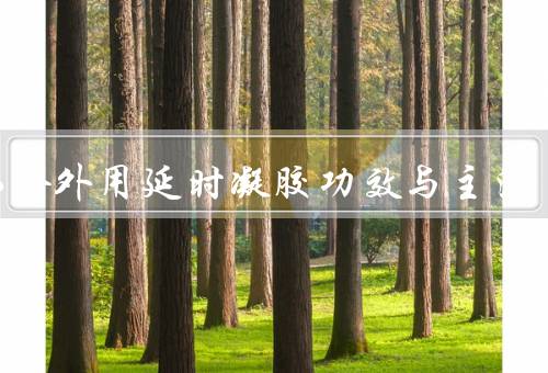 壹小拾外用延时凝胶功效与主治