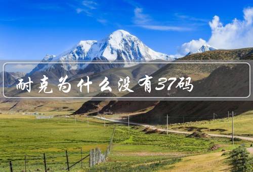 耐克为什么没有37码