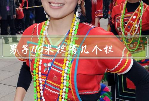 男子110米栏有几个栏