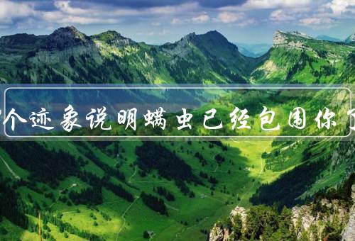 床上4个迹象说明螨虫已经包围你了