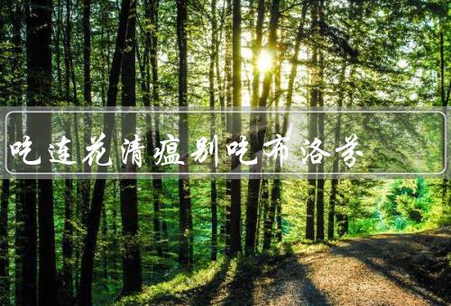 吃连花清瘟别吃布洛芬