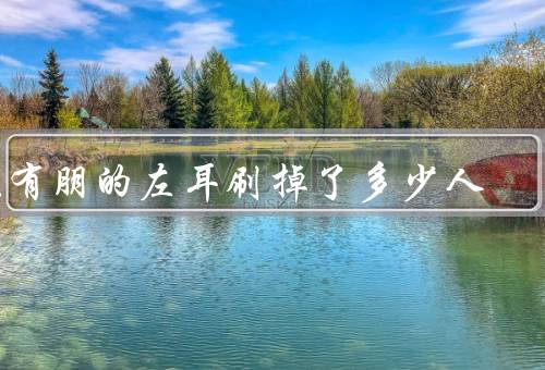 苏有朋的左耳刷掉了多少人