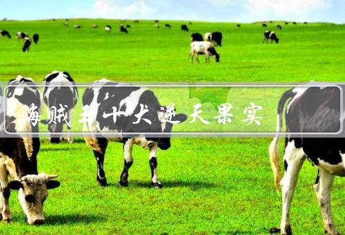 海贼王十大逆天果实
