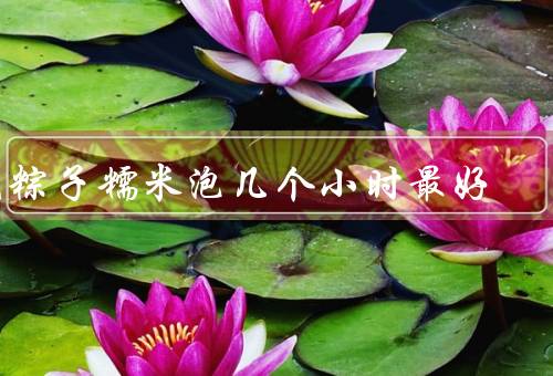 包粽子糯米泡几个小时最好