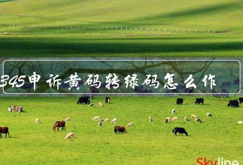 12345申诉黄码转绿码怎么作