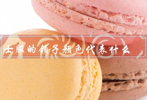 学士服的领子颜色代表什么，6个颜色对应6个专业（粉色是文科）