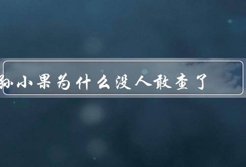 孙小果为什么没人敢查了