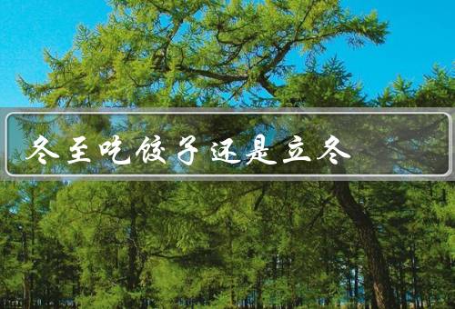 冬至吃饺子还是立冬
