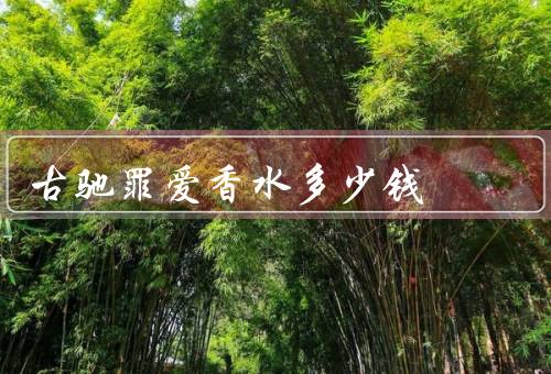 古驰罪爱香水多少钱