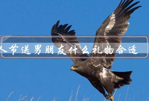 情人节送男朋友什么礼物合适
