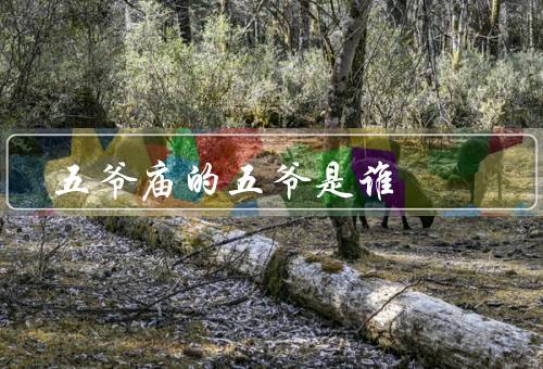 五爷庙的五爷是谁