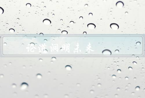 论道洞明未来