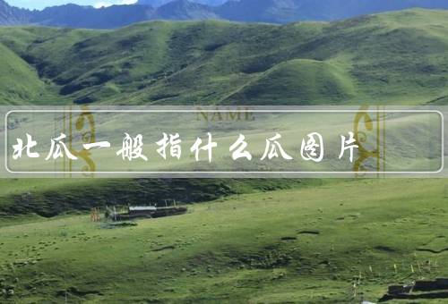 北瓜一般指什么瓜图片，是笋瓜和南瓜长相类似（别名东南瓜）