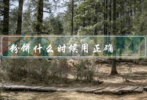 粉饼什么时候用正确