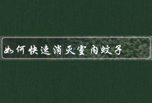 如何快速消灭室内蚊子