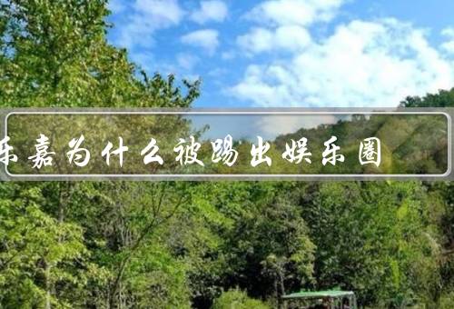 乐嘉为什么被踢出娱乐圈
