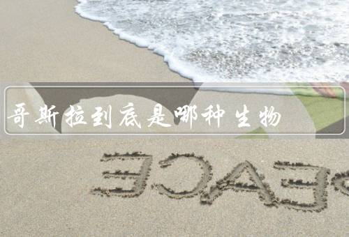哥斯拉到底是哪种生物