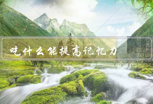 吃什么能提高记忆力