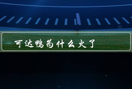 可达鸭为什么火了