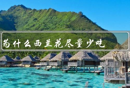 为什么西兰花尽量少吃