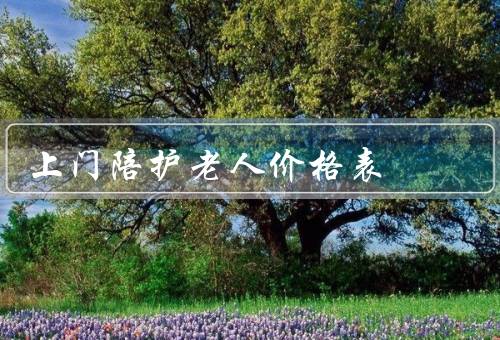 上门陪护老人价格表