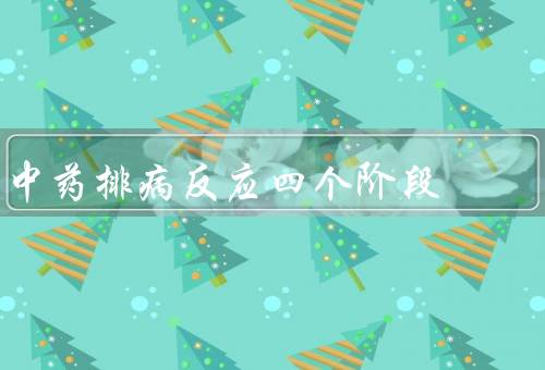 中药排病反应四个阶段