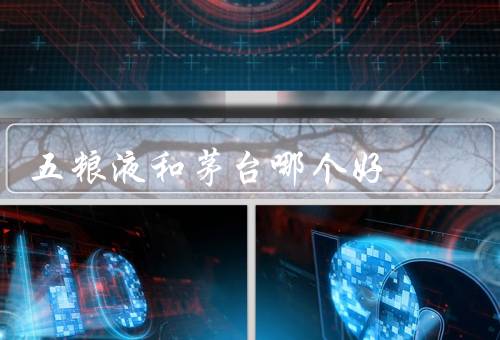 五粮液和茅台哪个好