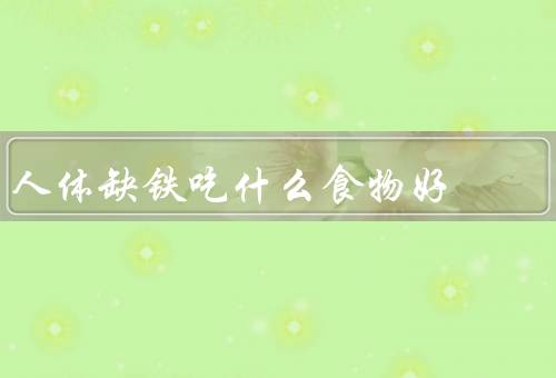 人体缺铁吃什么食物好