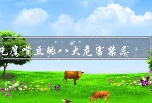 吃鹰嘴豆的八大危害禁忌